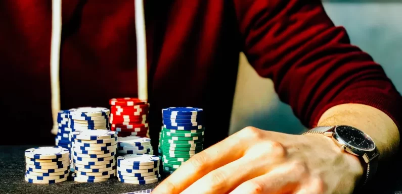 What to Expect From Casino Player Interviews